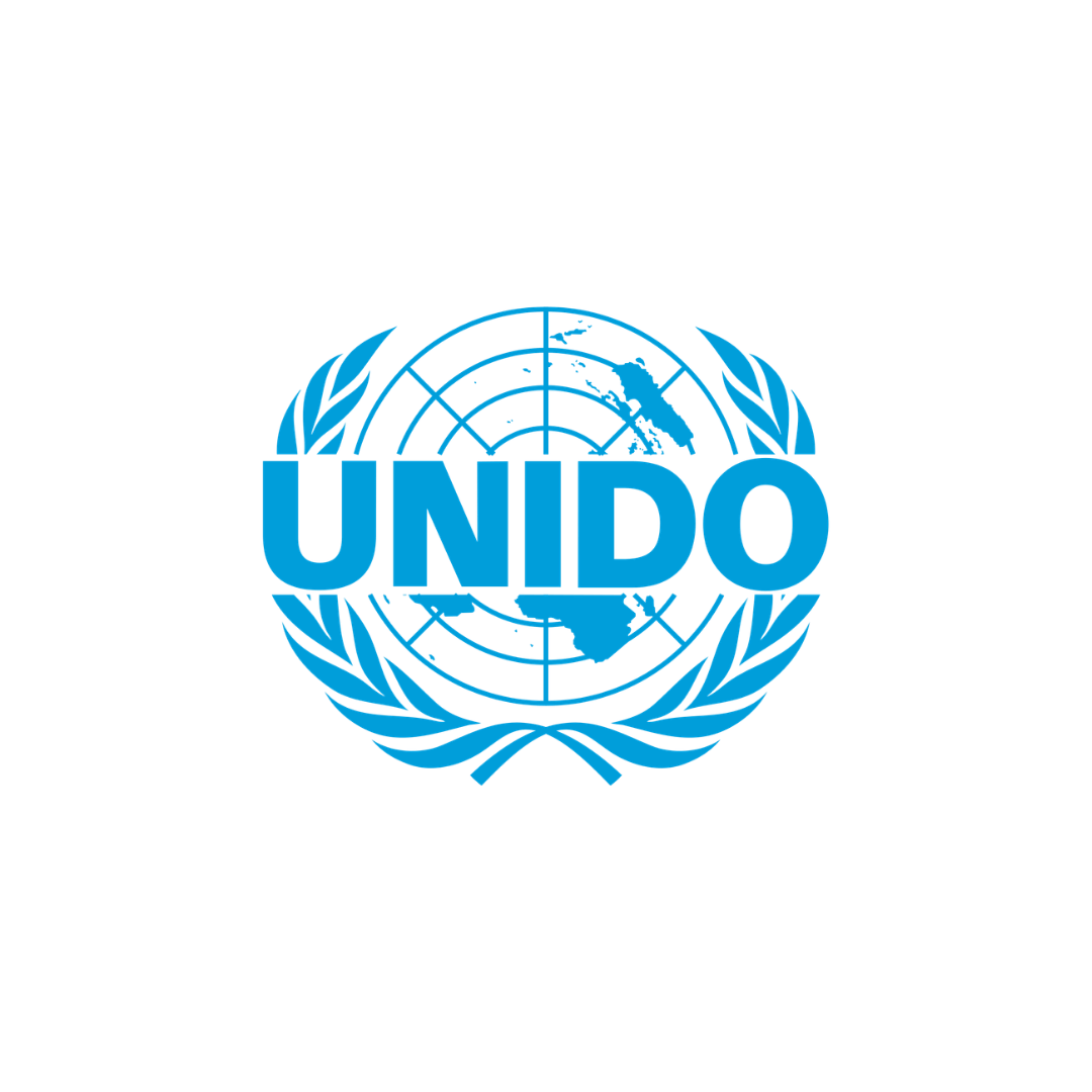 UNIDO — partner of the female factor