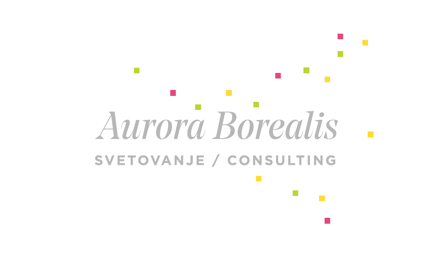 Aurora Borealis Consulting