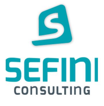 Sefini llc. Belgrade