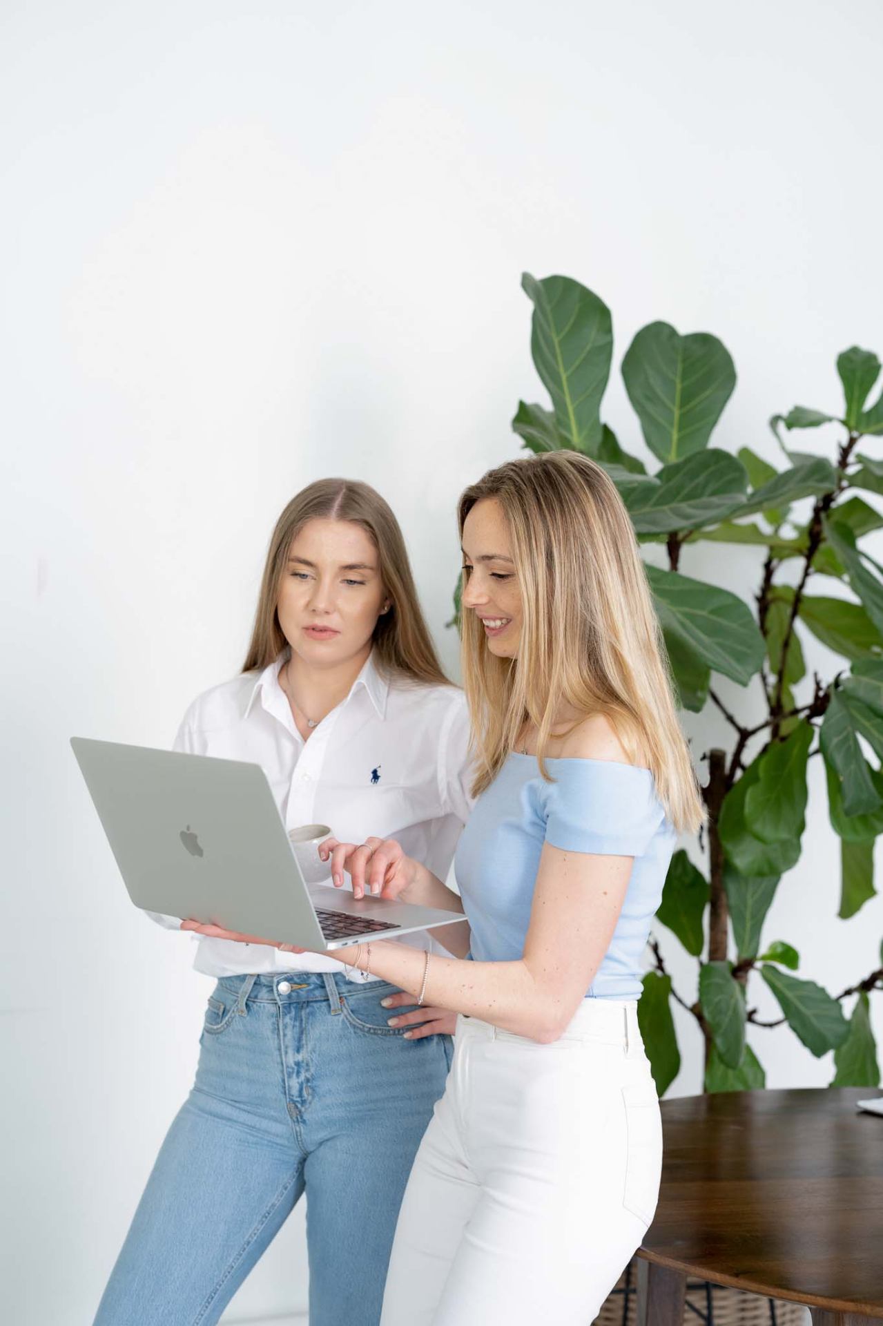 the career success program